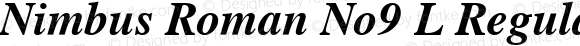Nimbus Roman No9 L Medium Italic