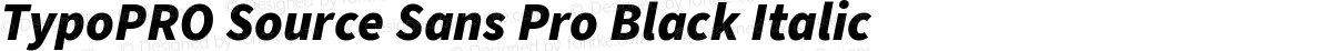 TypoPRO Source Sans Pro Black Italic