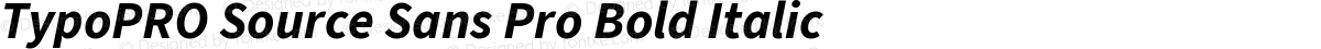 TypoPRO Source Sans Pro Bold Italic