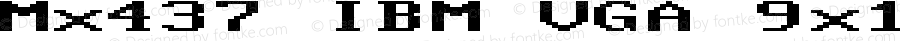 Mx437 IBM VGA 9x16-2x Regular v2.2-2020-11