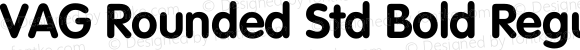 VAG Rounded Std Bold Regular