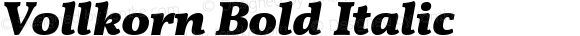 Vollkorn Bold Italic