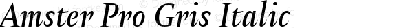 Amster Pro Gris Italic