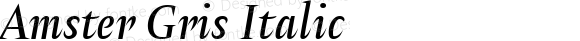 Amster Gris Italic