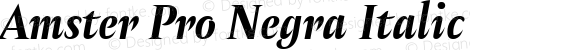 Amster Pro Negra Italic