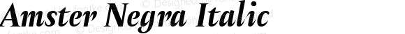 Amster Negra Italic Version 1.000;PS 001.000;hotconv 1.0.70;makeotf.lib2.5.58329