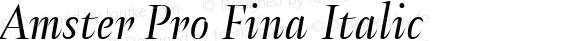 Amster Pro Fina Italic