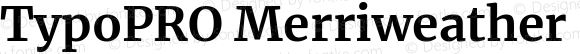 TypoPRO Merriweather Bold