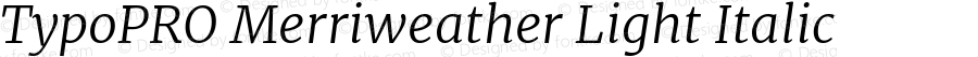 TypoPRO Merriweather Light Italic