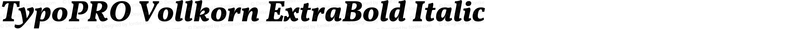 TypoPRO Vollkorn ExtraBold Italic