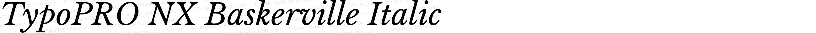 TypoPRO NX Baskerville Italic