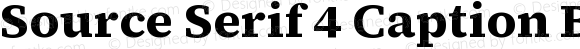 Source Serif 4 Caption Bold