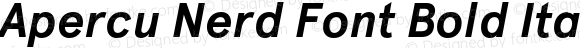 Apercu Nerd Font Bold Italic