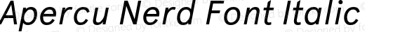 Apercu Nerd Font Italic