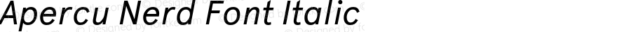 Apercu Nerd Font Italic