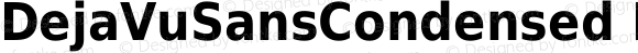DejaVuSansCondensed Nerd Font Condensed Bold
