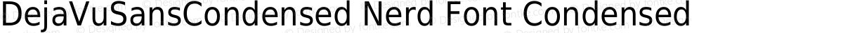 DejaVuSansCondensed Nerd Font Condensed