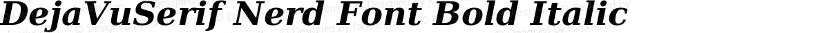 DejaVuSerif Nerd Font Bold Italic