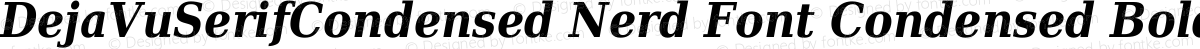 DejaVuSerifCondensed Nerd Font Condensed Bold Italic