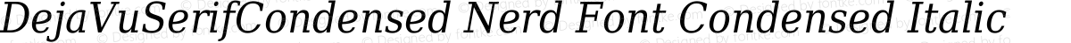 DejaVuSerifCondensed Nerd Font Condensed Italic