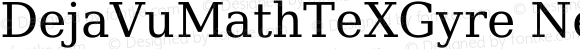 DejaVuMathTeXGyre Nerd Font Regular