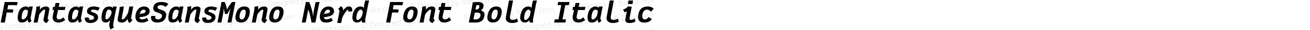 FantasqueSansMono Nerd Font Bold Italic