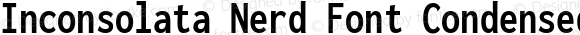 Inconsolata Nerd Font Condensed Bold