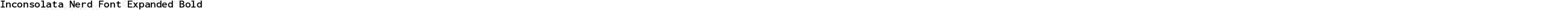 Inconsolata Nerd Font Expanded Bold