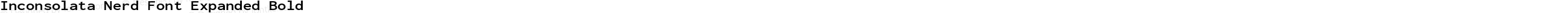 Inconsolata Nerd Font Expanded Bold