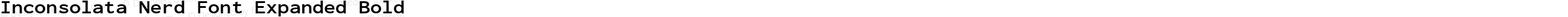 Inconsolata Nerd Font Expanded Bold