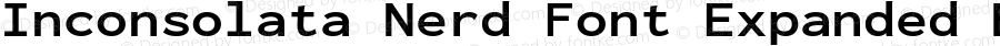 Inconsolata Nerd Font Expanded Bold