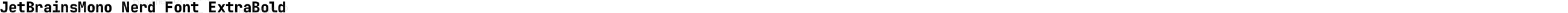 JetBrainsMono Nerd Font ExtraBold