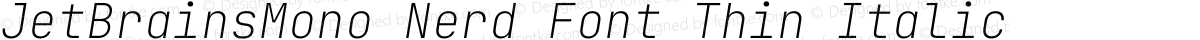 JetBrainsMono Nerd Font Thin Italic