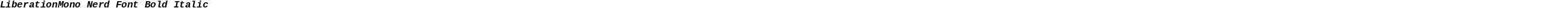 LiberationMono Nerd Font Bold Italic