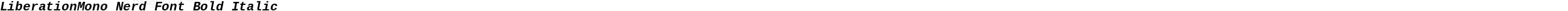 LiberationMono Nerd Font Bold Italic