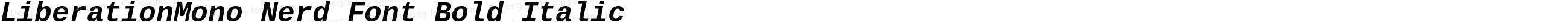 LiberationMono Nerd Font Bold Italic