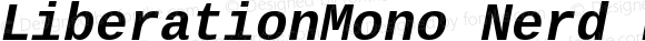 LiberationMono Nerd Font Bold Italic