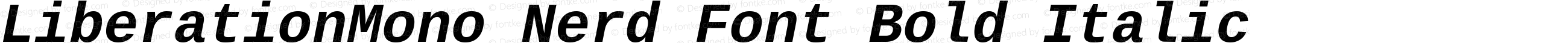 LiberationMono Nerd Font Bold Italic