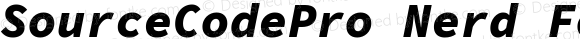 SourceCodePro Nerd Font Black Italic