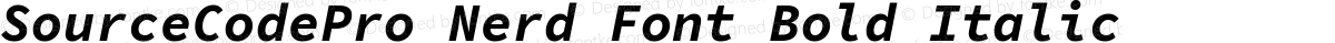 SourceCodePro Nerd Font Bold Italic