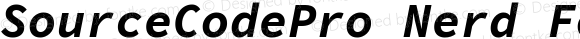 SourceCodePro Nerd Font Bold Italic