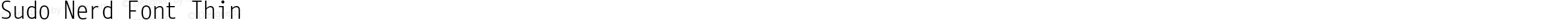 Sudo Nerd Font Thin