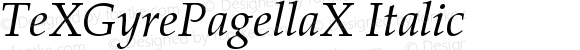 TeXGyrePagellaX-Italic
