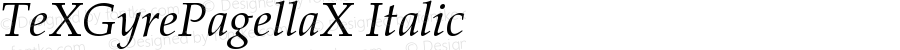 TeXGyrePagellaX Italic