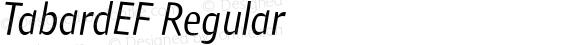 TabardEF-RegularItalic