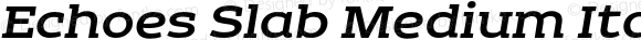 Echoes Slab Medium Italic