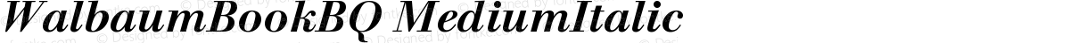 WalbaumBookBQ MediumItalic