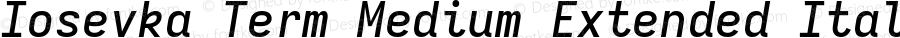 Iosevka Term Medium Extended Italic