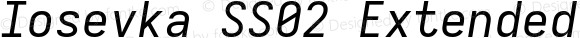 Iosevka SS02 Extended Italic