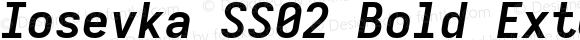 Iosevka SS02 Bold Extended Italic